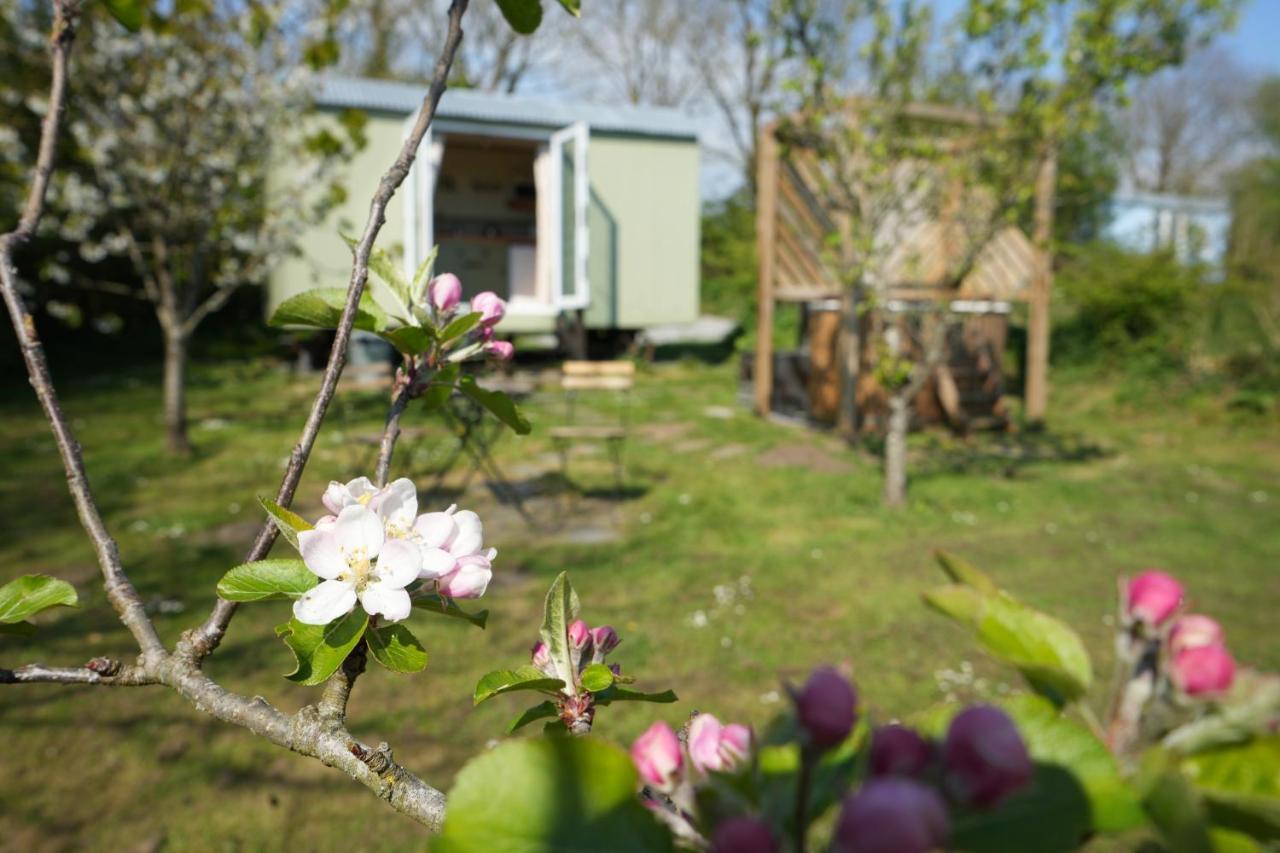 Hillcrest Hut Διαμέρισμα Tenby Εξωτερικό φωτογραφία