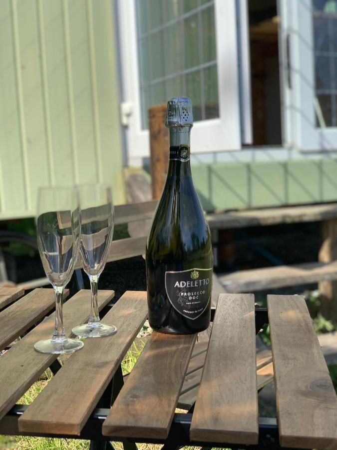 Hillcrest Hut Διαμέρισμα Tenby Εξωτερικό φωτογραφία